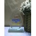 Water Drop Glass Trophy
